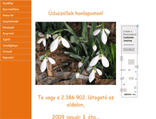Tablet Screenshot of bogex.hu